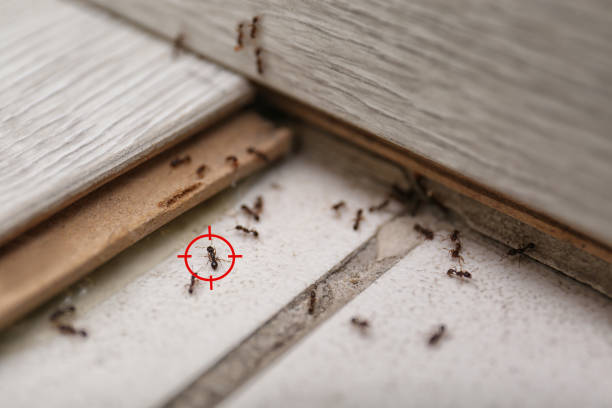 Best Pest Prevention Services  in Grosse Pointe Farms, MI