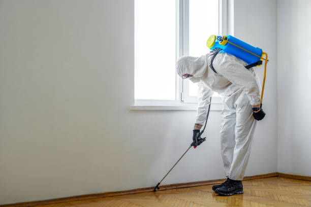Best Wasp Removal Services  in Grosse Pointe Farms, MI
