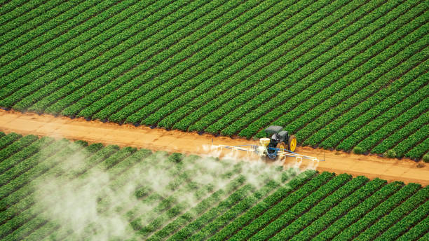 Best Commercial Pest Control Services  in Grosse Pointe Farms, MI