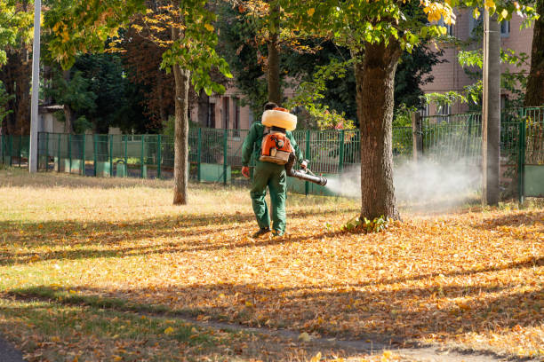 Bird Control in Grosse Pointe Farms, MI
