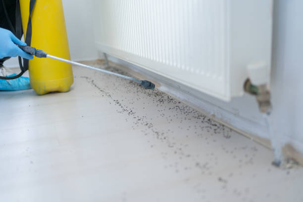 Best Affordable Pest Control Services  in Grosse Pointe Farms, MI