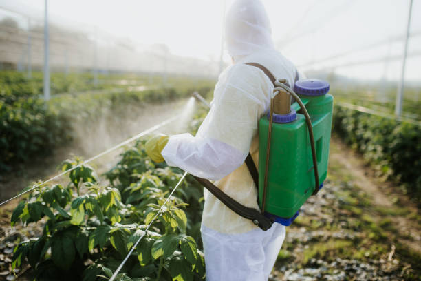 Best Flea Control Services  in Grosse Pointe Farms, MI